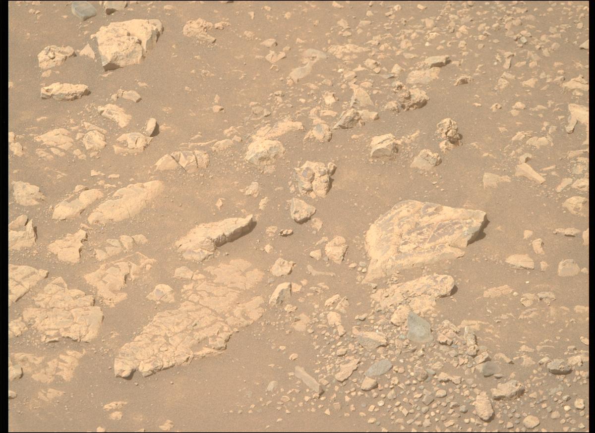 This image was taken by MCZ_RIGHT onboard NASA's Mars rover Perseverance on Sol 1539