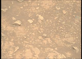View image taken on Mars, Mars Perseverance Sol 1539: Right Mastcam-Z Camera