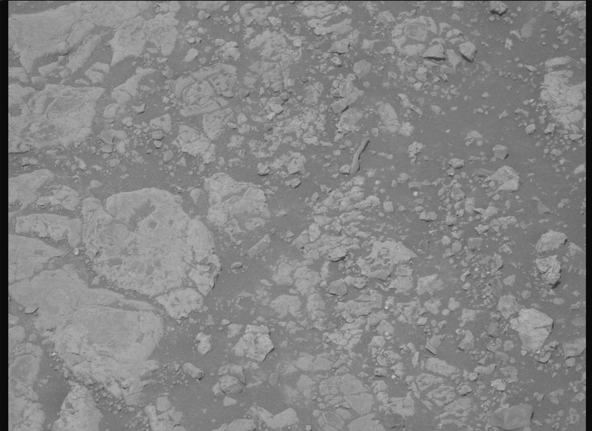 This image was taken by MCZ_RIGHT onboard NASA's Mars rover Perseverance on Sol 1539