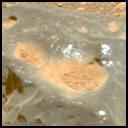This image was taken by MCZ_LEFT onboard NASA's Mars rover Perseverance on Sol 1541