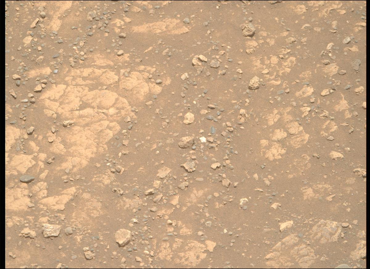 This image was taken by MCZ_RIGHT onboard NASA's Mars rover Perseverance on Sol 1542