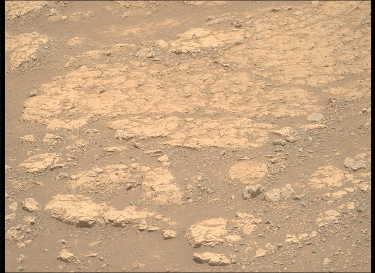 This image was taken by MCZ_RIGHT onboard NASA's Mars rover Perseverance on Sol 1542