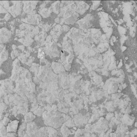 This image was taken by SHERLOC_WATSON onboard NASA's Mars rover Perseverance on Sol 1544