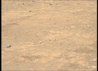 View image taken on Mars, Mars Perseverance Sol 1544: Left Mastcam-Z Camera