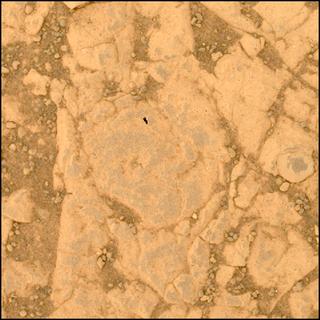 View image taken on Mars, Mars Perseverance Sol 1545: WATSON Camera 