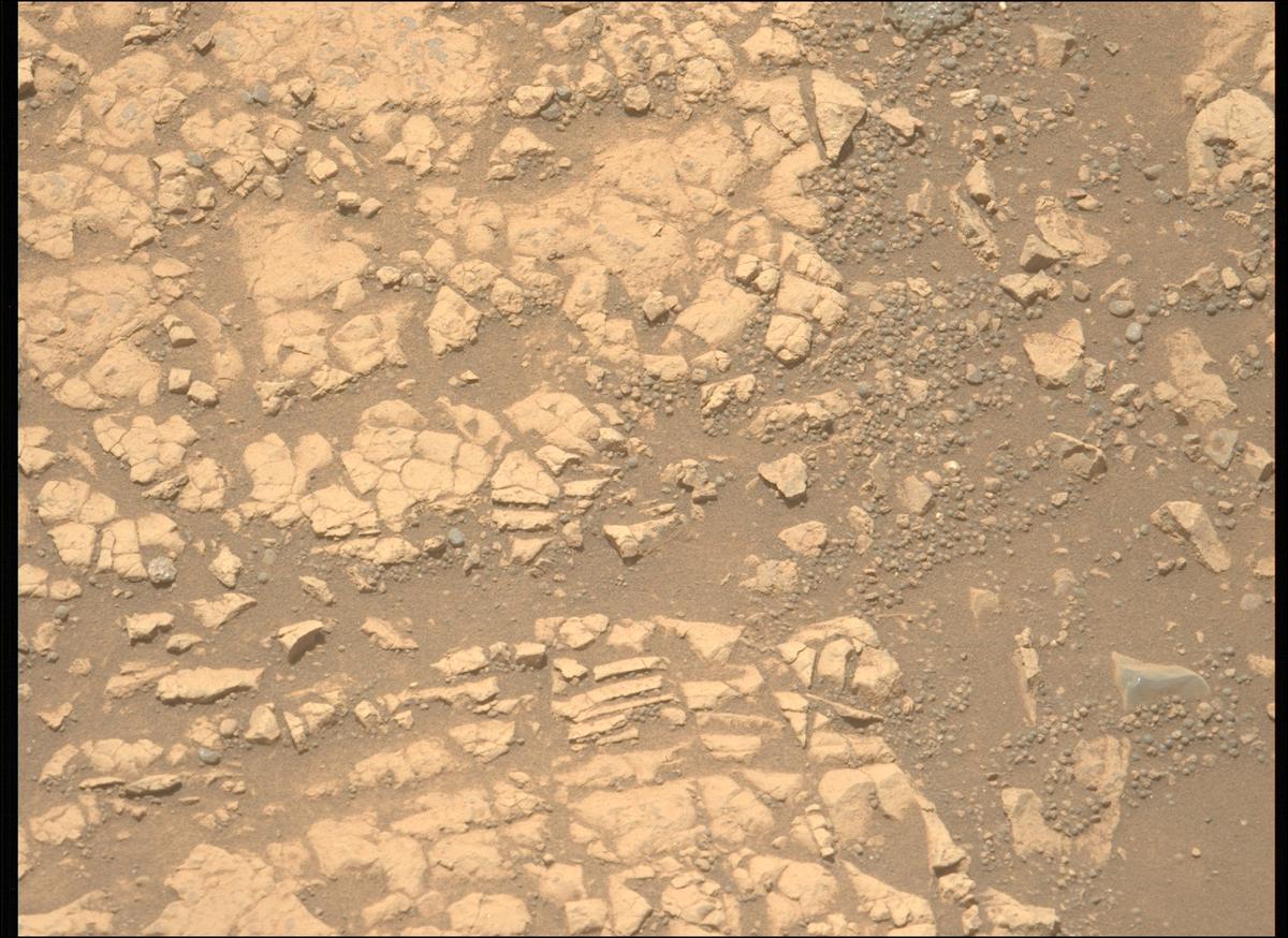 This image was taken by MCZ_LEFT onboard NASA's Mars rover Perseverance on Sol 1546