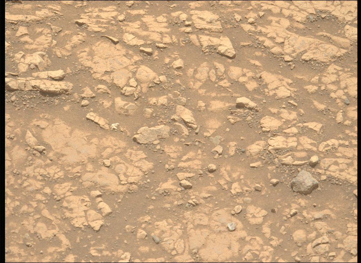 This image was taken by MCZ_LEFT onboard NASA's Mars rover Perseverance on Sol 1546