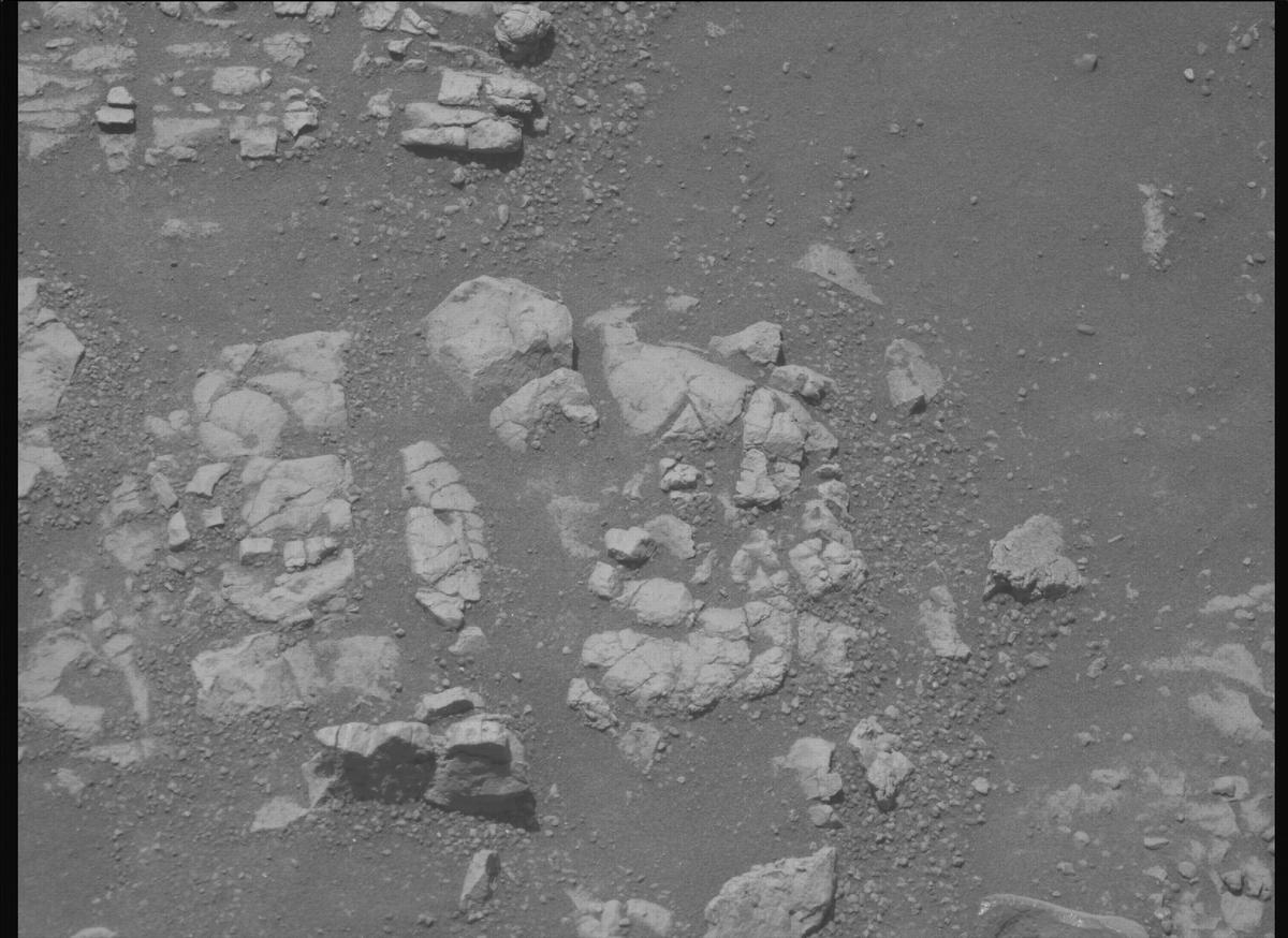 This image was taken by MCZ_RIGHT onboard NASA's Mars rover Perseverance on Sol 1546