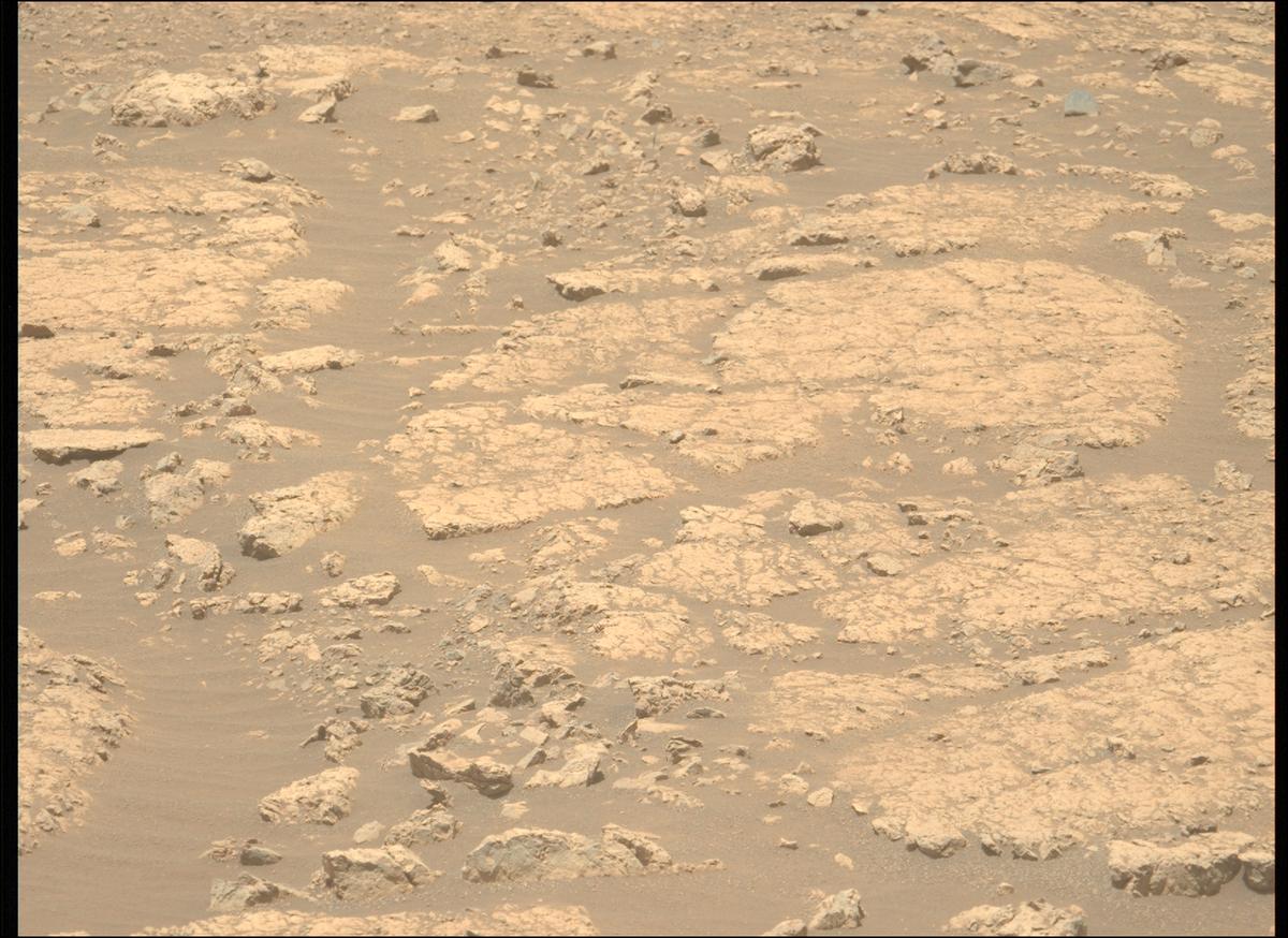 This image was taken by MCZ_LEFT onboard NASA's Mars rover Perseverance on Sol 1547
