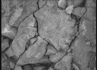 View image taken on Mars, Mars Perseverance Sol 1548: WATSON Camera 