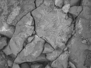 View image taken on Mars, Mars Perseverance Sol 1548: WATSON Camera 