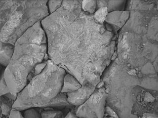 View image taken on Mars, Mars Perseverance Sol 1548: WATSON Camera 