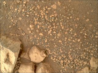 View image taken on Mars, Mars Perseverance Sol 1548: WATSON Camera 