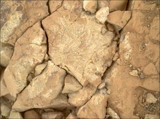 View image taken on Mars, Mars Perseverance Sol 1548: WATSON Camera 