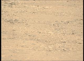 View image taken on Mars, Mars Perseverance Sol 1548: Left Mastcam-Z Camera