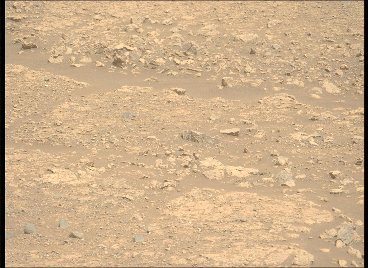 This image was taken by MCZ_LEFT onboard NASA's Mars rover Perseverance on Sol 1548