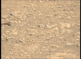 View image taken on Mars, Mars Perseverance Sol 1548: Left Mastcam-Z Camera