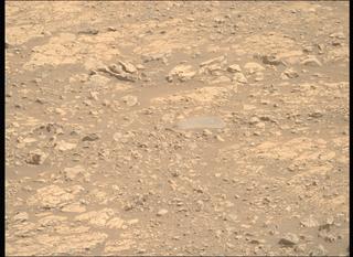 View image taken on Mars, Mars Perseverance Sol 1548: Right Mastcam-Z Camera