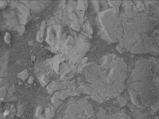 View image taken on Mars, Mars Perseverance Sol 1552: WATSON Camera 