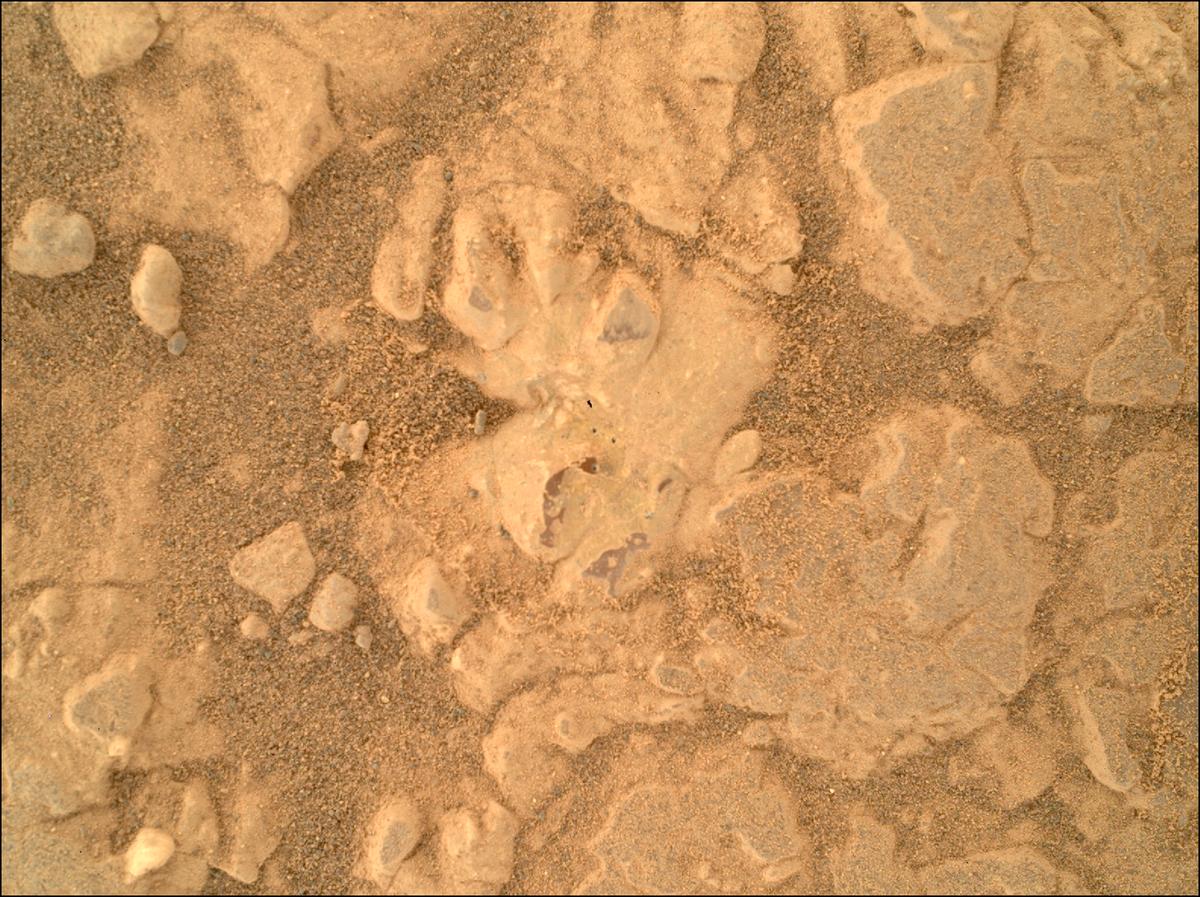 This image was taken by SHERLOC_WATSON onboard NASA's Mars rover Perseverance on Sol 1552