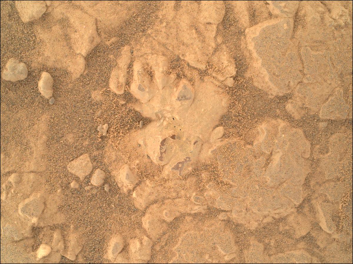 This image was taken by SHERLOC_WATSON onboard NASA's Mars rover Perseverance on Sol 1552