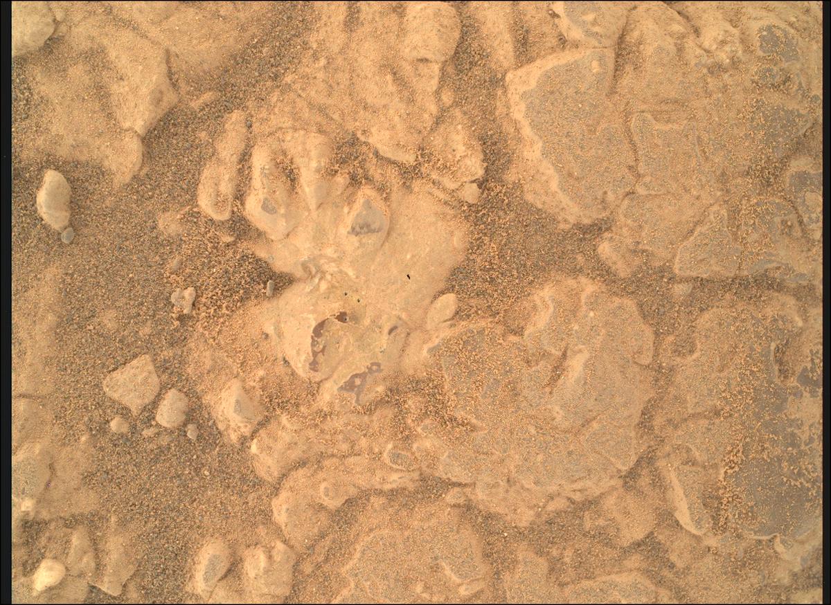 This image was taken by SHERLOC_WATSON onboard NASA's Mars rover Perseverance on Sol 1552
