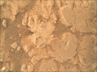 View image taken on Mars, Mars Perseverance Sol 1552: WATSON Camera 