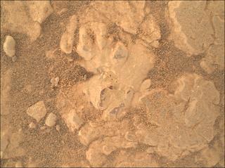 View image taken on Mars, Mars Perseverance Sol 1552: WATSON Camera 