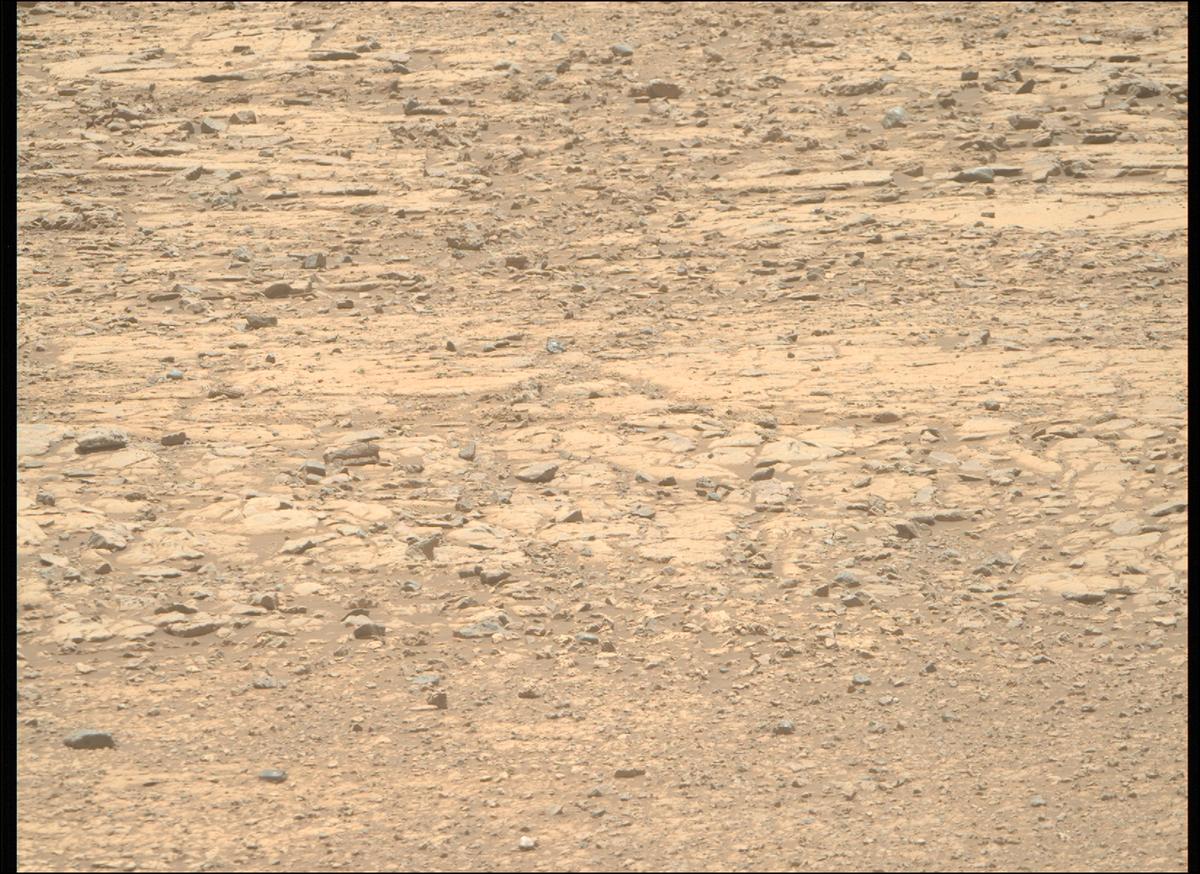 This image was taken by MCZ_RIGHT onboard NASA's Mars rover Perseverance on Sol 1554