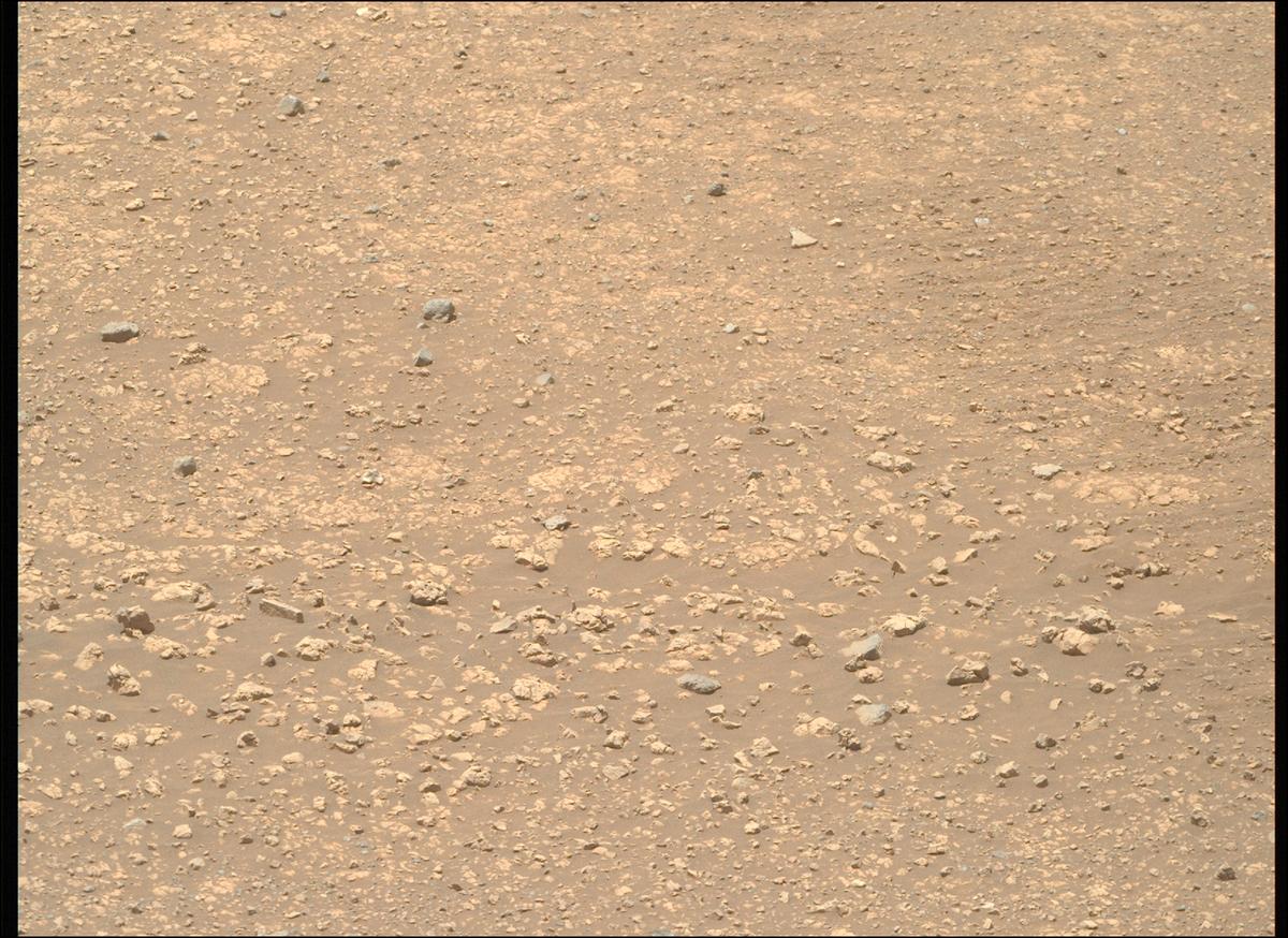 This image was taken by MCZ_RIGHT onboard NASA's Mars rover Perseverance on Sol 1554