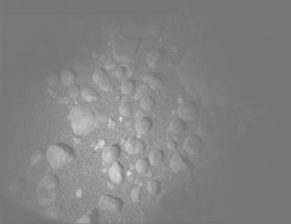 View image taken on Mars, Mars Perseverance Sol 1555: PIXL Camera 