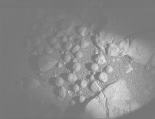 View image taken on Mars, Mars Perseverance Sol 1555: PIXL Camera 