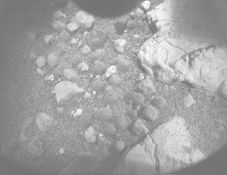 View image taken on Mars, Mars Perseverance Sol 1555: PIXL Camera 