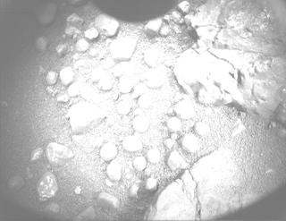 View image taken on Mars, Mars Perseverance Sol 1555: PIXL Camera 