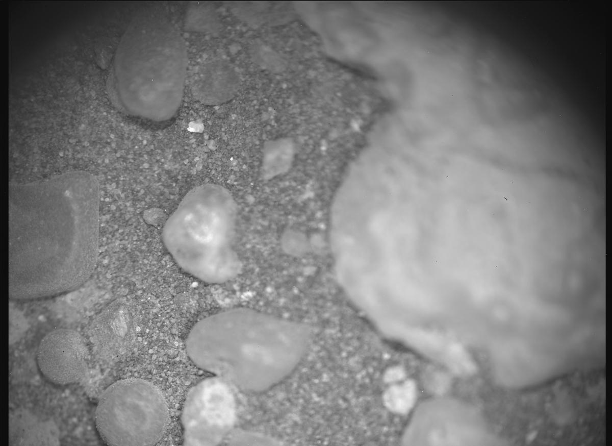 This image was taken by SHERLOC_ACI onboard NASA's Mars rover Perseverance on Sol 1555