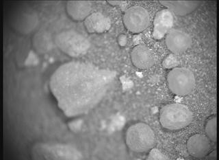 View image taken on Mars, Mars Perseverance Sol 1555: SHERLOC ACI Camera 