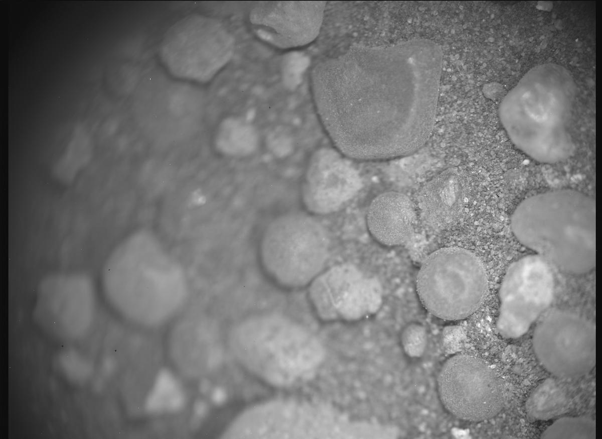 This image was taken by SHERLOC_ACI onboard NASA's Mars rover Perseverance on Sol 1555
