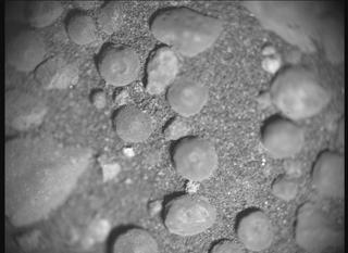 View image taken on Mars, Mars Perseverance Sol 1555: SHERLOC ACI Camera 