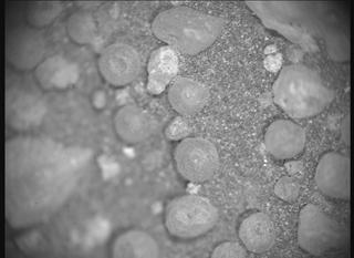 View image taken on Mars, Mars Perseverance Sol 1555: SHERLOC ACI Camera 