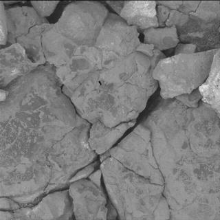 View image taken on Mars, Mars Perseverance Sol 1555: WATSON Camera 