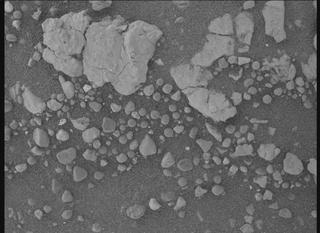 View image taken on Mars, Mars Perseverance Sol 1555: WATSON Camera 