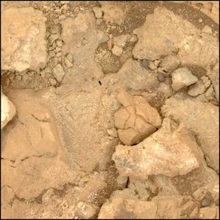 View image taken on Mars, Mars Perseverance Sol 1555: WATSON Camera 