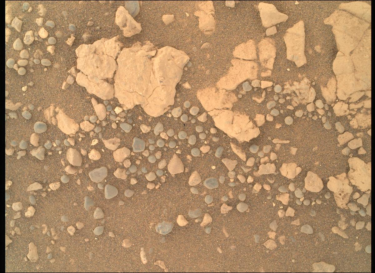 This image was taken by SHERLOC_WATSON onboard NASA's Mars rover Perseverance on Sol 1555