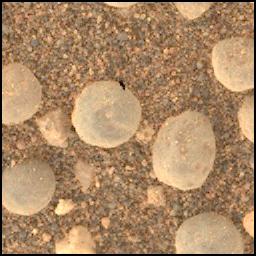 View image taken on Mars, Mars Perseverance Sol 1555: WATSON Camera 