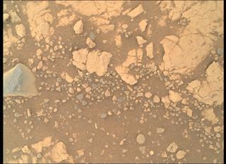View image taken on Mars, Mars Perseverance Sol 1555: WATSON Camera 