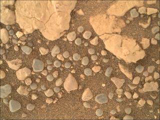 View image taken on Mars, Mars Perseverance Sol 1555: WATSON Camera 