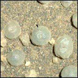 View image taken on Mars, Mars Perseverance Sol 1555: WATSON Camera 