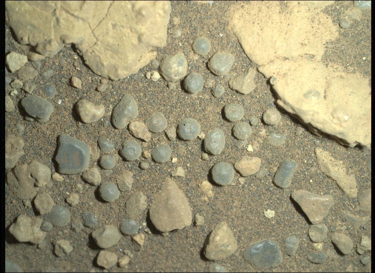 This image was taken by SHERLOC_WATSON onboard NASA's Mars rover Perseverance on Sol 1555