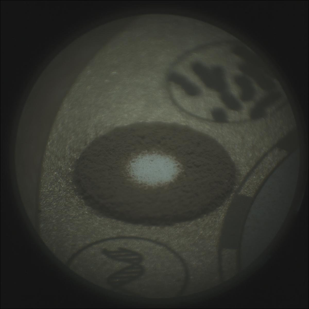 This image was taken by SUPERCAM_RMI onboard NASA's Mars rover Perseverance on Sol 1557