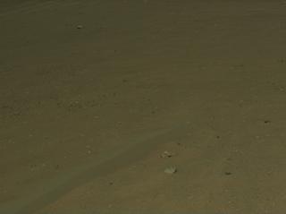 View image taken on Mars, Mars Perseverance Sol 1558: Left Navigation Camera (Navcam)